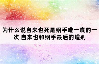 为什么说自来也死是纲手唯一赢的一次 自来也和纲手最后的道别